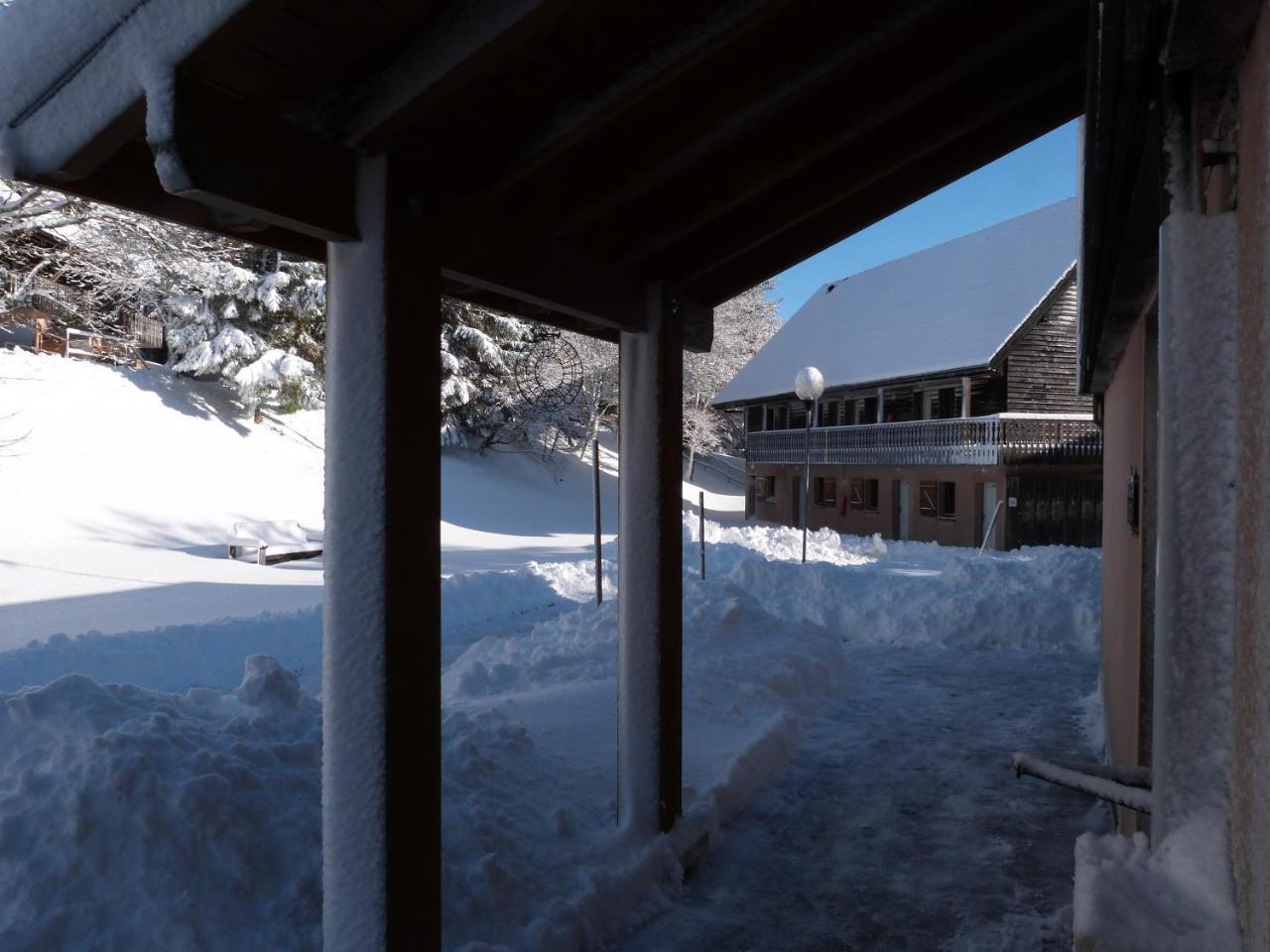 Residence Le Bois De La Reine Super Besse Zewnętrze zdjęcie
