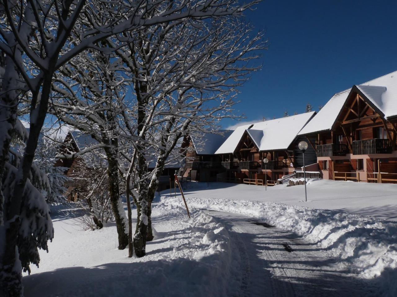 Residence Le Bois De La Reine Super Besse Zewnętrze zdjęcie